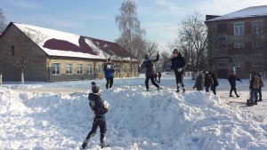 ваив