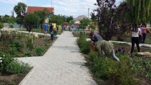 image (1)