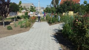 image (3)