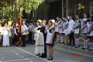 image (7)