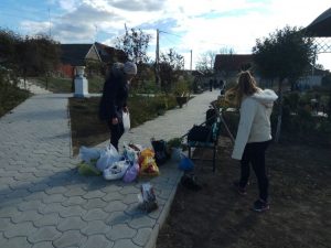 image (4)
