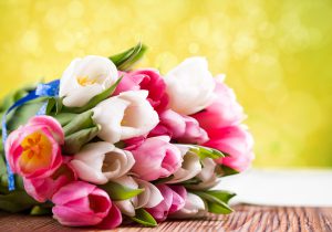 cvety-tyulpany-8-marta-buket-2592