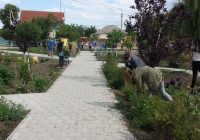 image (1)