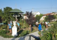 image (2)